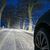 Die Scheinwerfer eines stehenden Autos erhellen die Dunkelheit im dichten Schneefall auf einer Allee in Ostbrandenburg. - Foto: Patrick Pleul/dpa