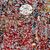 Die Spieler des FC Bayern München jubeln 2013 mit der Meisterschale. - Foto: Peter Kneffel/dpa