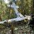 Die Propellermaschine vom Typ Cessna 206 war im Süden des Landes mit sieben Menschen an Bord verunglückt. - Foto: -/Pressebüro der kolumbianischen Streitkräfte via AP/dpa