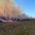 Flammen lodern in einem Waldgebiet auf dem ehemaligen Truppenübungsplatz im mecklenburgischen Lübtheen. - Foto: Thomas Schulz/dpa