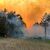 Rauch und Flammen steigen am 12. Juni in den Himmel aus einem Waldgebiet bei Lübtheen in Mecklenburg-Vorpommern. - Foto: Thomas Schulz/dpa