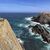Steilklippen am Cabo Sardao in Portugal. Derzeit ist der Nordatlantik besonders warm. Wissenschaftler sind beunruhigt. - Foto: Manuel Meyer/dpa-tmn/dpa