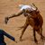 Ein Feiernder wird am Ende des vierten Stiertreibens in Pamplona von einer Kuh  auf die Hörner genommen. - Foto: Alvaro Barrientos/AP