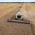 Ein Mähdrescher erntet Weizen in der Ukraine. Russland sperrt sich gegen eine Verlängerung des Abkommens zur Ausfuhr von ukrainischem Getreide über das Schwarze Meer. - Foto: Efrem Lukatsky/AP