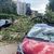 Ein umgestürzter Baum liegt neben beschädigten Autos in der norditalienischen Stadt Mailand. - Foto: Luca Bruno/AP/dpa