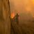 Die Bilder der Brände auf Rhodos gingen um die Welt. - Foto: Petros Giannakouris/AP/dpa