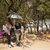 Touristen unter Bäumen am Eingang der Akropolis im Hitzesommer 2023. - Foto: Socrates Baltagiannis/dpa