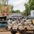 Polizisten fahren am Rande eines Marsches zur Unterstützung der Putschisten durch Niamey. Nach dem Putsch im Niger haben Tausende dem Militär ihre Unterstützung zugesichert. - Foto: Djibo Issifou/dpa
