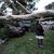 Umgestürzte Bäume nach dem Tropensturm «Hilary» im Sun Valley in Kalifornien. - Foto: Marcio Jose Sanchez/AP/dpa