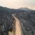 Ein verbrannter Wald in der Nähe der Stadt Alexandroupolis. - Foto: Achilleas Chiras/AP