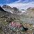 Der einst massive Eiskörper des Tiroler Jamtalgletschers. - Foto: Johann Groder/EXPA/APA/dpa