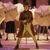 Timothée Chalamet als Willy Wonka in einer Szene des Films «Wonka». - Foto: Jaap Buittendijk/Warner Bros./dpa