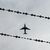 Abschiebungen finden meist per Flugzeug statt. (Symbolbild) - Foto: Julian Stratenschulte/dpa