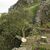 Spaziergänger gehen im September 2023 am illegal gefällten Berg-Ahorn-Baum («Sycamore Tree») am Hadrianswall in Northumberland vorbei. - Foto: Owen Humphreys/Press Association/dpa