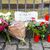 Kerzen, Blumen und ein Blatt Papier mit der Aufschrift «Gegen Terror» stehen am Tatort auf dem Mannheimer Marktplatz. - Foto: Uwe Anspach/dpa