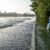 Eine Straße führt in das Überschwemmungsgebiet des Donaurieds. - Foto: Stefan Puchner/dpa
