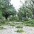 Heftige Regenfälle haben zahlreiche Straßen geflutet.  - Foto: Maria Lysaker/AP/dpa