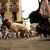 Die Stierkämpfe beim Sanfermín-Fest in Pamplona locken jedes Jahr Zehntausende an. - Foto: Alvaro Barrientos/AP