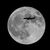 Ein Flugzeug fliegt an einem großen Vollmond vorbei. - Foto: Ringo Chiu/SOPA Images/ZUMA Press Wire/dpa