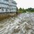 Treibholz und vom Hochwasser mitgerissene Pflanzenzeile schwimmen auf dem deutsch-polnischen Grenzfluss Oder. - Foto: Patrick Pleul/dpa