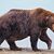 Chunk hat am Ende des Sommers ordentlich an Gewicht zugenommen. - Foto: E. Johnston/National Park Service via AP/dpa