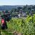 Höhere Kosten und weniger Wein-Trinker. Die Branche ist in der Krise. (Archivbild)  - Foto: Hendrik Schmidt/dpa