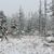 Auch auf dem Brocken hat es geschneit. (Foto Aktuell vom 17.11.) - Foto: Matthias Bein/dpa