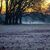 Die Woche startet in Deutschland vielerorts mit Sonne, Nebel und Frost. - Foto: Thomas Banneyer/dpa