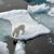 ILLUSTRATION. Ein Eisbär steht im Nordpolarmeer auf eine Eisscholle.  - Foto: Ulf Mauder/dpa