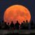Vollmond über Chicago  - Foto: Charles Rex Arbogast/AP/dpa