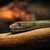 Das entwickelte Mittel soll auch gegen das Gift der Schwarzen Mamba wirken. (Archivbild) - Foto: Fredrik von Erichsen/dpa