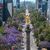 Blühende Jacaranda-Bäume entlang der Avenida Reforma in Mexiko-Stadt. (Archivbild) - Foto: Li Muzi/XinHua/dpa