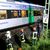 Die Deutsche Bahn berichtete auf X von Streckensperrungen wegen Bäumen auf den Gleisen.  - Foto: André März/NEWS5/dpa