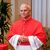 Seit 2023 war Prevost Leiter des mächtigen Dikasteriums für die Bischöfe – jener Vatikanbehörde, die weltweit Bischöfe auswählt. Nun ist er Papst. (Archivbild) - Foto: Riccardo De Luca/AP/dpa