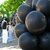 Bei einer Kundgebung für den von der Polizei erschossenen Lorenz steigen schwarze Ballons mit seinem Namen auf.  - Foto: Izabela Mittwollen/dpa
