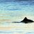 Der Schweinswal steht laut Dagmar Struß exemplarisch für den Zustand der Ostsee und ihre Schutzbedürftigkeit. (Symbolbild) - Foto: Kay Nietfeld/dpa