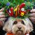 Hund Chili bekommt ein Krönchen aus Chilis aufgesetzt. - Foto: Kirsty Wigglesworth/AP/dpa
