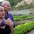 Gemeinsam mit seiner Frau Lelia Wanick Salgado forstete Sebastião Salgado die Farm seiner Eltern auf und setzte sich für Naturschutz ein. - Foto: Ricardo Beliel/Instituto Terra/Taschen Verlag/dpa