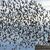 Die meisten Menschen halten sich an die Regeln in Naturschutzgebieten und fotografieren Tiere nur von Wegen und Aussichtspunkten aus. - Foto: Thomas Warnack/dpa
