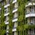 Grünpflanzen schaffen Verdunstungskühle - auch wilder Wein wie hier an einer Fassade in Berlin.  - Foto: Britta Pedersen/dpa-Zentralbild/ZB