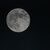 Schon lange haben Wissenschaftler Wasser auf dem Mond vermutet. (Archivbild) - Foto: Gianni Gattus/dpa