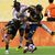 Bocas 12. Mann - das Stadion in Miami war in argentinischer Hand. - Foto: Rebecca Blackwell/AP/dpa