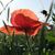 Am Wochenende scheint oft die Sonne. - Foto: Sebastian Willnow/dpa