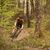 Gravelbikes werden immer beliebter. (Archivbild) - Foto: Marvin Gebauer/Schwalbe/pd-f/dpa-tmn
