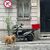 Echte Straßenhunde können «unfassbar frustriert und unglücklich» sein, wenn sie plötzlich als Wohnungshunde in Deutschland leben sollen. (Archivbild) - Foto: Mirjam Schmitt/dpa