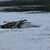 Rettungskräfte sind im Einsatz. - Foto: Sören Müller/Medienportal-Grimma/dpa