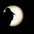 Am Sonntag war Vollmond - sein Licht wird es noch in den nächsten Tagen erschweren, Perseiden zu entdecken. (Archivbild)  - Foto: Thomas Warnack/dpa