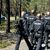 Tragische Gewissheit nach einer großen Suchaktion: Die Leiche des Jungen wurde gefunden. - Foto: Danilo Dittrich/dpa