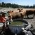 Die große Trockenheit macht in Frankreich insbesondere den Landwirten zu schaffen. - Foto: Jean-Philippe Ksiazek/AFP/dpa
