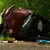 Vier Menschen sterben.  - Foto: Fernandez/News 4 Video-Line TV/dpa